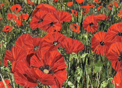 Campo de amapolas de Kirstie Adamson