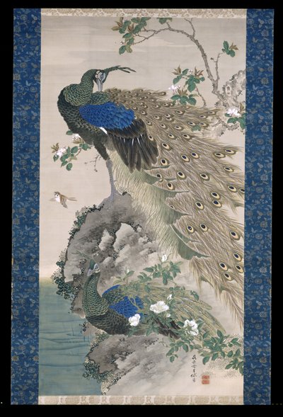 Cherry-Apple And Peacocks On Rock (tinta y colores sobre seda) de Kishi Ganku