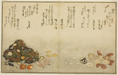 Ashi-gai, hamaguri, ko-gai, suzume-gai, akoya-gai y katashi-gai, del libro ilustrado Regalos de la marea baja (Shiohi no tsuto) de Kitagawa Utamaro
