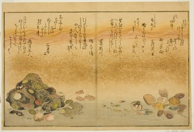 Ashi-gai, hamaguri, ko-gai, suzume-gai, akoya-gai y katashi-gai, del libro ilustrado "Regalos de la marea baja (Shiohi no tsuto)" de Kitagawa Utamaro