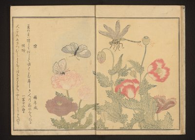 Mariposas y libélulas cerca de amapolas de Kitagawa Utamaro