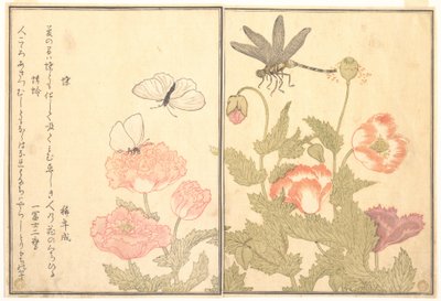  de Kitagawa Utamaro