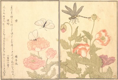 Mariposa Cho, libélula Kagero o Tonbo de Kitagawa Utamaro