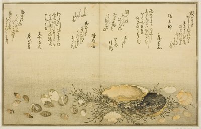 Chidori-gai, itaya-gai, awabi, utsuse-gai, asari-gai, y monoara-gai, del libro ilustrado "Regalos de la marea baja (Shiohi no tsuto)" de Kitagawa Utamaro