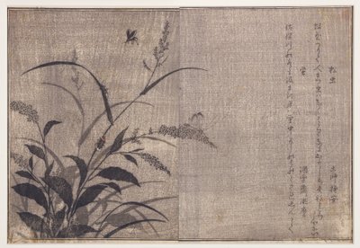 Grillo y luciérnagas, 1788 de Kitagawa Utamaro