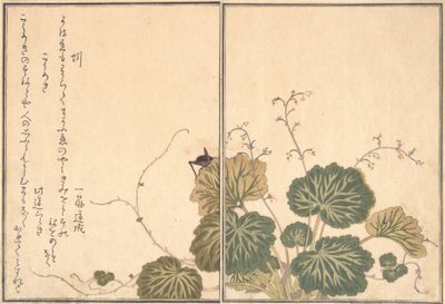 Lombriz de tierra Mimizu, Grillo Korogi de Kitagawa Utamaro