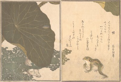 Rana Kaeru, escarabajo dorado Kogane mushi, 1788 de Kitagawa Utamaro