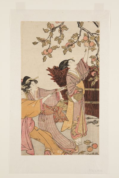 Recogiendo caquis de Kitagawa Utamaro