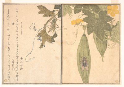  de Kitagawa Utamaro