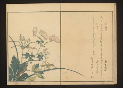Saltamontes y ciempiés en una planta de acónito de Kitagawa Utamaro