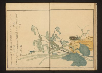 Saltamontes en la judía y mantis religiosa en el melón de Kitagawa Utamaro