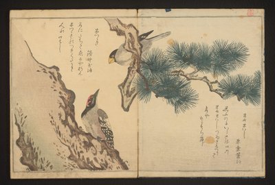 Pico picapinos y pájaro carpintero de Kitagawa Utamaro