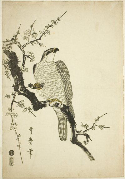 Halcón en una Rama de Ciruelo de Kitagawa Utamaro