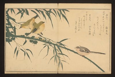 Herrerillo común y ojo blanco de Kitagawa Utamaro