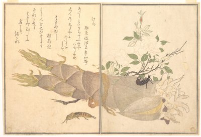 Grillo topo (Kera); tijereta (Hasami-mushi), del libro ilustrado «Criaturas que se arrastran» (Ehon mushi erami) de Kitagawa Utamaro