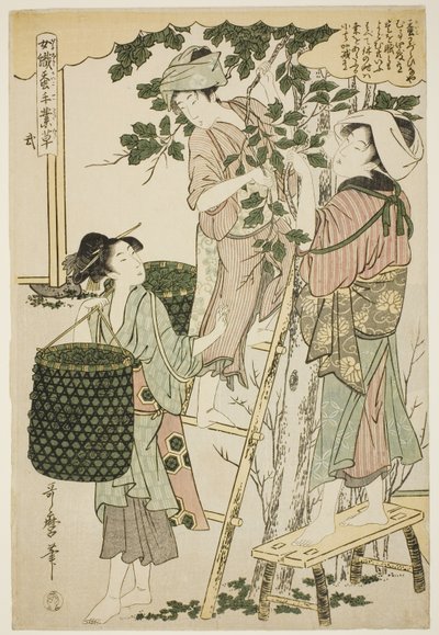 No. 2 (ni), de la serie "Mujeres dedicadas a la industria de la sericultura (Joshoku kaiko tewaza-gusa)" de Kitagawa Utamaro
