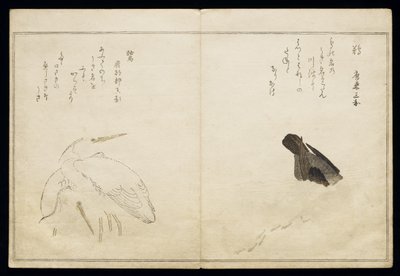 P.332-1946 Vol.1 f.4 Cormorán a la derecha y dos garzas nevadas a la izquierda, de un álbum 