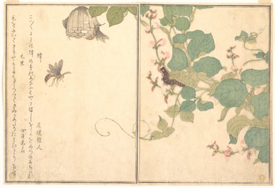  de Kitagawa Utamaro