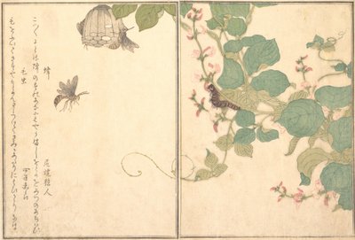 Avispa de papel Hachi, oruga peluda Kemushi..., 1788 de Kitagawa Utamaro