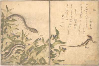 Serpiente rata Hebi, lagarto o eslizón Tokage... de Kitagawa Utamaro