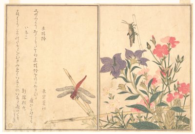 Libélula roja (Akatonbo); langosta (Inago), del libro ilustrado «Criaturas que se arrastran» (Ehon mushi erami) de Kitagawa Utamaro