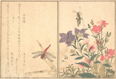 Libélula roja Akatonbo, langosta Inago..., 1788 de Kitagawa Utamaro