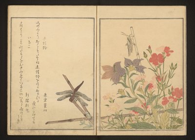 Libélula roja y langostas por las rosas de Kitagawa Utamaro