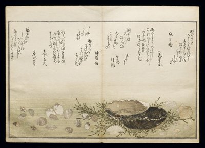 Shiohi no tsuto (Regalos de la Marea Baja), conocido como el Libro de las Conchas, 1789 de Kitagawa Utamaro