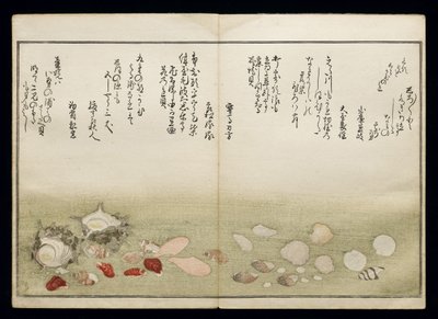 Shiohi no tsuto (Regalos de la Marea Baja), conocido como el Libro de las Conchas, 1789 de Kitagawa Utamaro