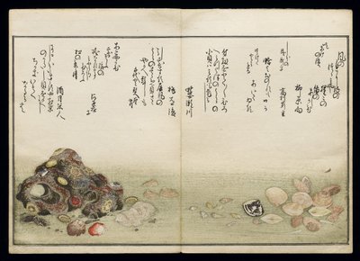 Shiohi no tsuto (Regalos de la Marea Baja), conocido como el Libro de las Conchas, 1789 de Kitagawa Utamaro