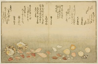 Shiro-gai, namima-gashiwa, makura-gai, iro-gai, aza-gai, sadae-gai, del libro ilustrado "Regalos de la Marea Baja (Shiohi no tsuto)" de Kitagawa Utamaro