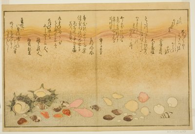 Shiro-gai, namima-gashiwa, makura-gai, iro-gai, aza-gai, sadae-gai, del libro ilustrado "Regalos de la marea baja (Shiohi no tsuto)" de Kitagawa Utamaro