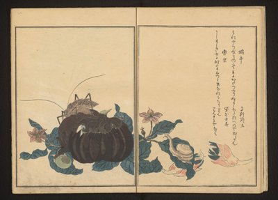Caracol y grillo ruidoso en la berenjena de Kitagawa Utamaro