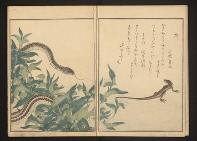 Serpiente y lagarto junto a un arbusto de Kitagawa Utamaro