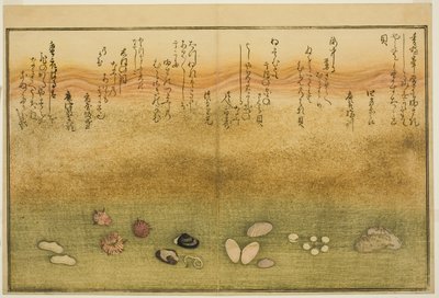Sudare-gai, hana-gai, sakura-gai, mumeno-gai, nadeshiko-gai, y kinuta-gai, del libro ilustrado "Regalos de la marea baja (Shiohi no tsuto)" de Kitagawa Utamaro