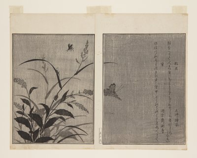 Grillo de árbol y luciérnaga de Kitagawa Utamaro