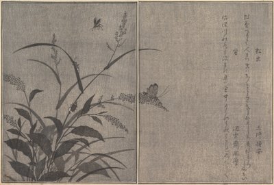Grillo de Árbol Matsumushi, Luciérnaga Hotaru... de Kitagawa Utamaro