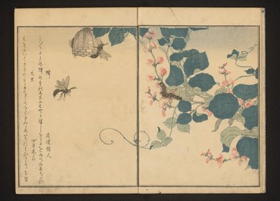 Avispas y oruga peluda en el arrurruz de Kitagawa Utamaro