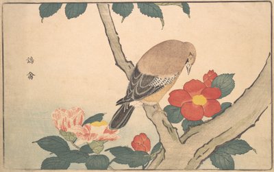 Camelias con un pájaro, 1789 de Kitao Masayoshi