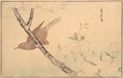 El zorzal gris de Kitao Masayoshi
