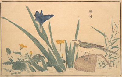 La Lavandera Blanca, 1789 de Kitao Masayoshi
