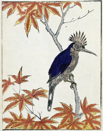 Pájaro en un árbol. Dibujo japonés de Kitao Kosuisai de Kitao Shigemasa