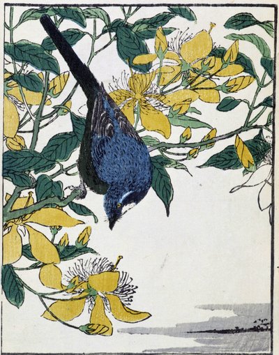 Pájaro en un árbol. Dibujo japonés de Kitao Kosuisai de Kitao Shigemasa