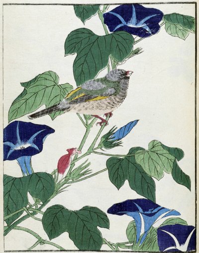 Pájaro en un árbol. Dibujo japonés de Kitao Kosuisai de Kitao Shigemasa