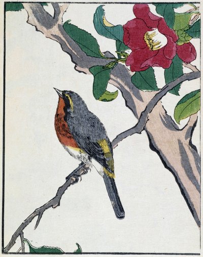 Dibujo japonés de Kitao Kosuisai de Kitao Shigemasa