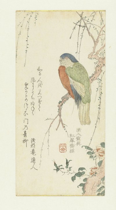 Loro en un ciruelo de Kitao Shigemasa