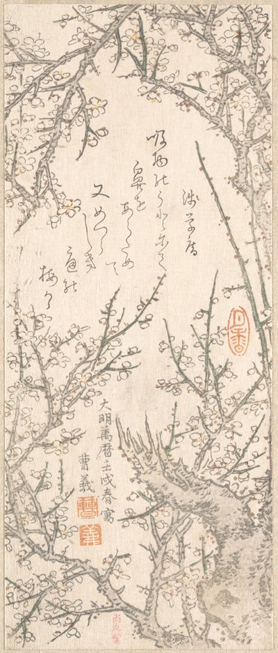 Ciruelo en flor, 1813 de Kitao Shigemasa