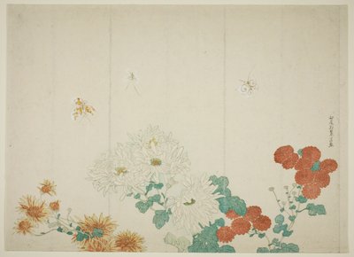 Tres tipos de crisantemos de Kitao Shigemasa