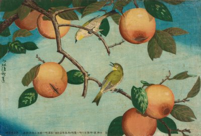 Caquis y pájaros japoneses de Kiyochika Kobayashi