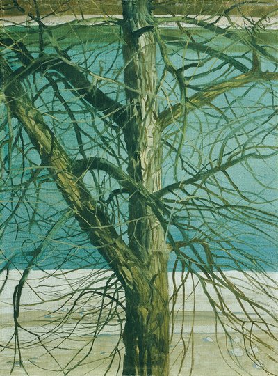 Estudio de árboles en el Danubio de Klemens Brosch